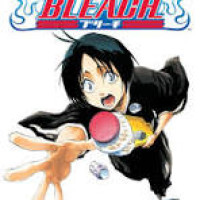 Image of Bleach Vol 14 (White Tower Rocks)